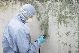 Best Residential Mold Inspection & Testing  in Pearl River, MS